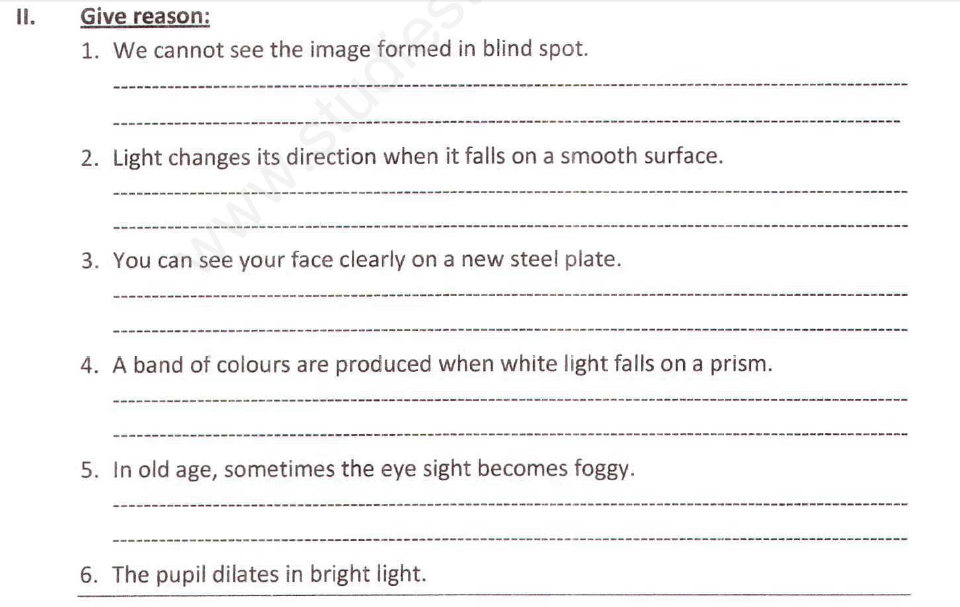 CBSE Class 8 Science Light Assignment